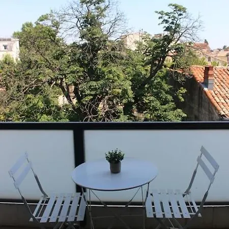 T2 Cosy Proche Parc Peyrou Et Jardin Des Plantes Apartment
