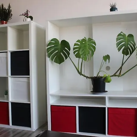 T2 Cosy Proche Parc Peyrou Et Jardin Des Plantes Apartment Montpellier