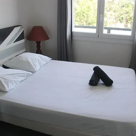 Apartment T2 Cosy Proche Parc Peyrou Et Jardin Des Plantes
