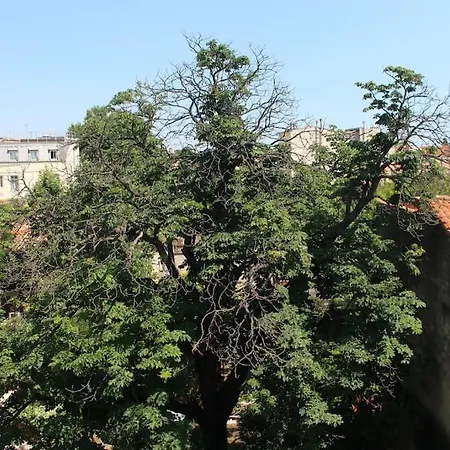 Apartment T2 Cosy Proche Parc Peyrou Et Jardin Des Plantes
