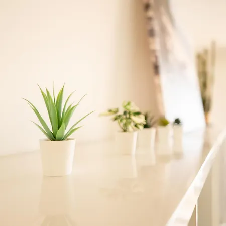 Apartment T2 Proche Gare - Spacieux , Et Lumineux