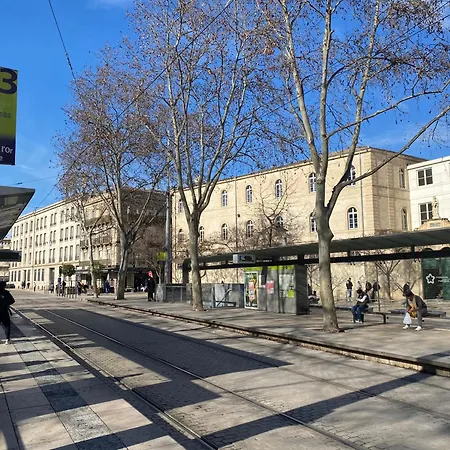 公寓 T2 Proche Gare - Spacieux , Et Lumineux 蒙彼利埃